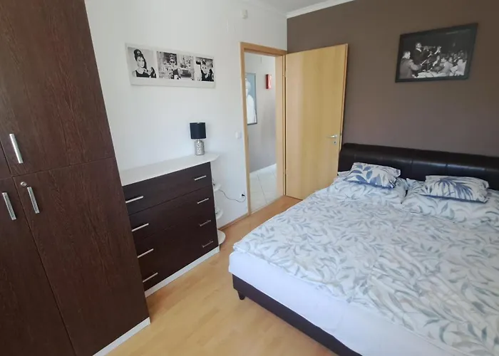 Cokewellness Deluxe Apartment *
